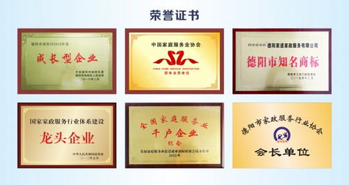 家道家政公布2024年度 智慧互聯 引擎計劃